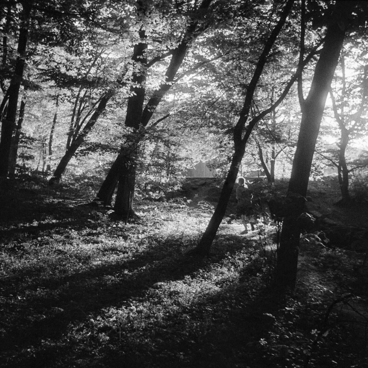 Dusk is upon us. Kyiv, Ukraine, May 2025.